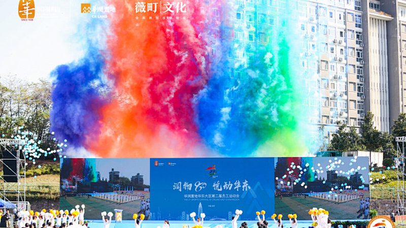 VI手册尺寸印刷报价全解析：尺寸标准与印刷成本揭秘
